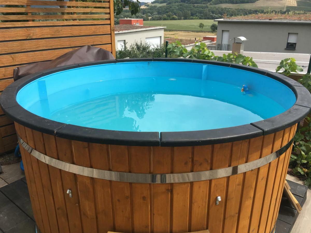 Romantische Ferienwohnung Mit Fantastischem Ausblick, Pool Und Gartensauna Iéna Extérieur photo